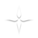 vigfoot logo